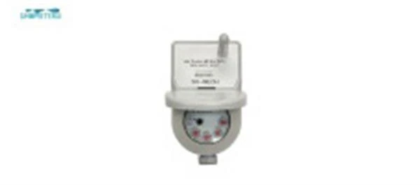 Lora。。。-AMR-water-meters-100-100