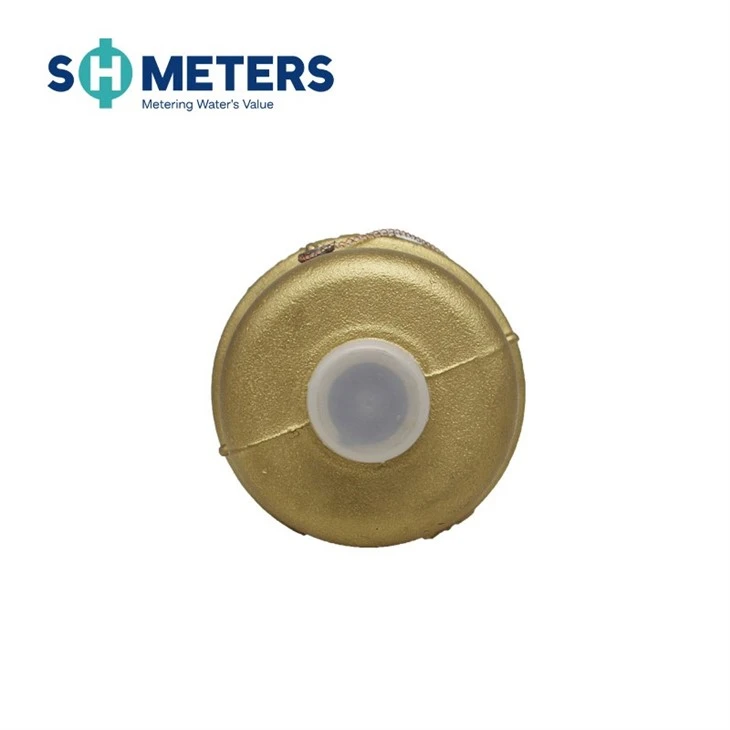 Volumetric Rotary Piston Water Meter R200 For Municipal